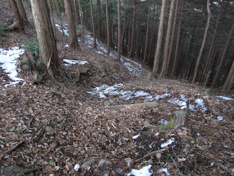 20160128hike (365)